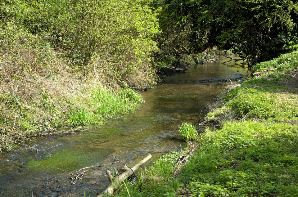 River-Ver-20050409-010