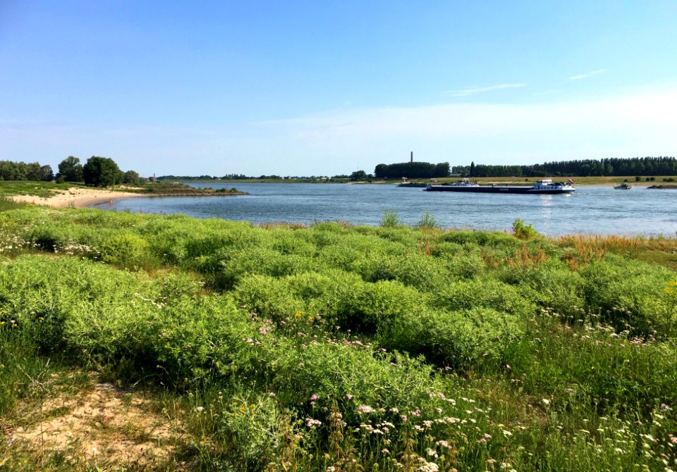 Riverscape, Lingewaard