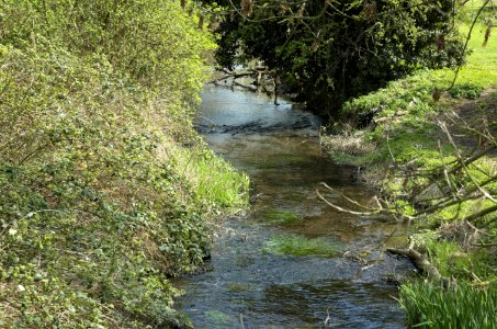 River-Ver-20050409-012