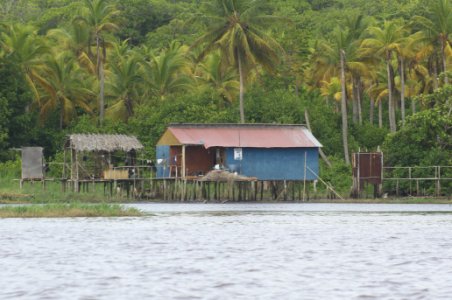 Rio limon venezuela29