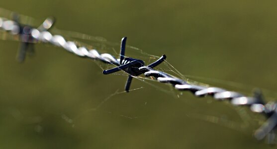 Metal wire imprisoned