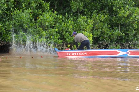 Rio limon venezuela43