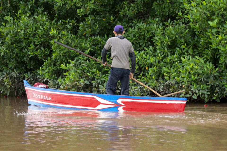 Rio limon venezuela39