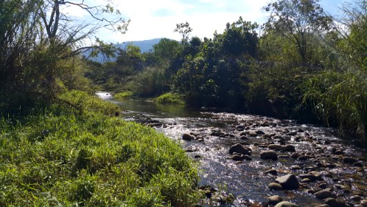 Rio Piracuama, em Pindamonhangaba, SP 3