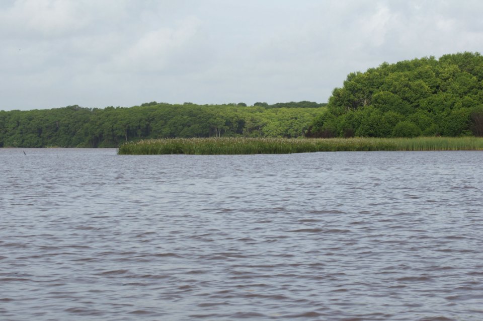 Rio limon venezuela34