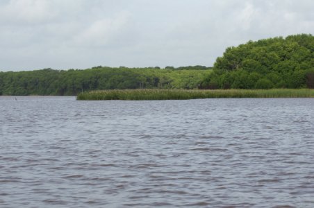 Rio limon venezuela34
