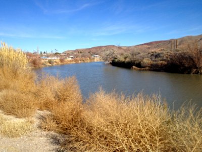 Rio Grande River at Truth or Consequences NM photo