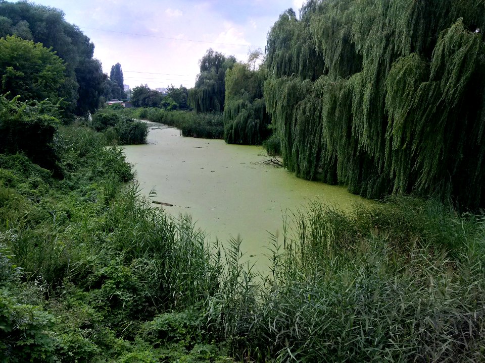 River Alta in Pereiaslav-Khmelnytskyi