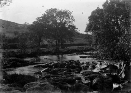 River (1294482)