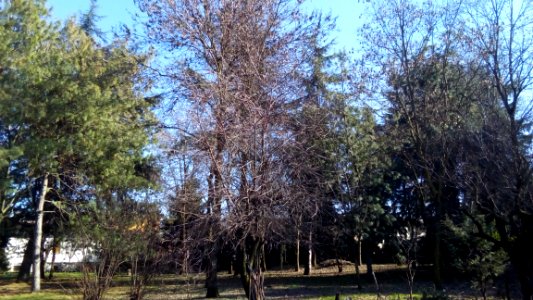 Rivalta(R.Emilia)129
