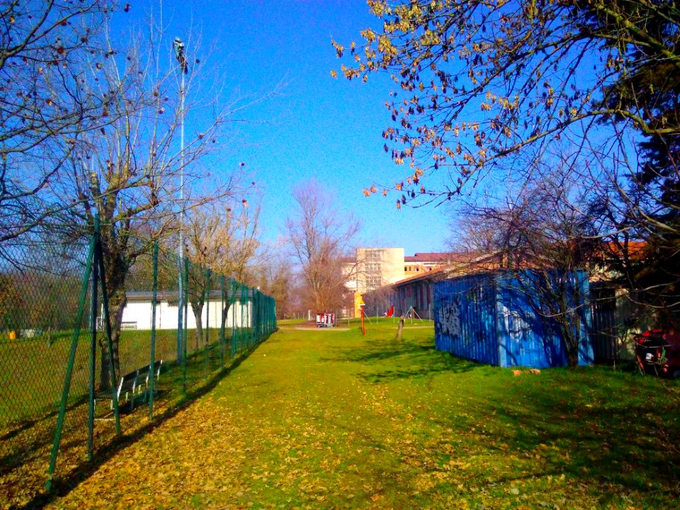Rivalta(R.Emilia)82
