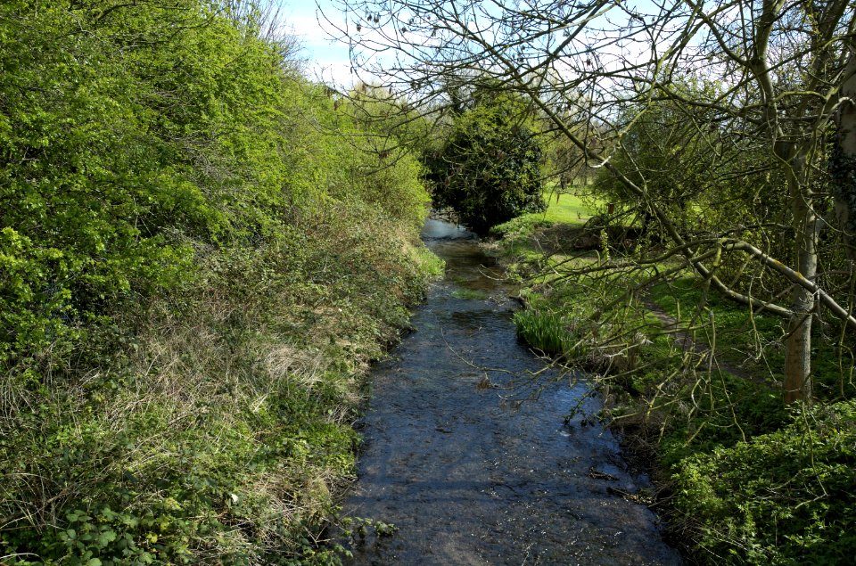 River-Ver-20050409-011