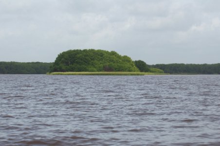 Rio limon venezuela32