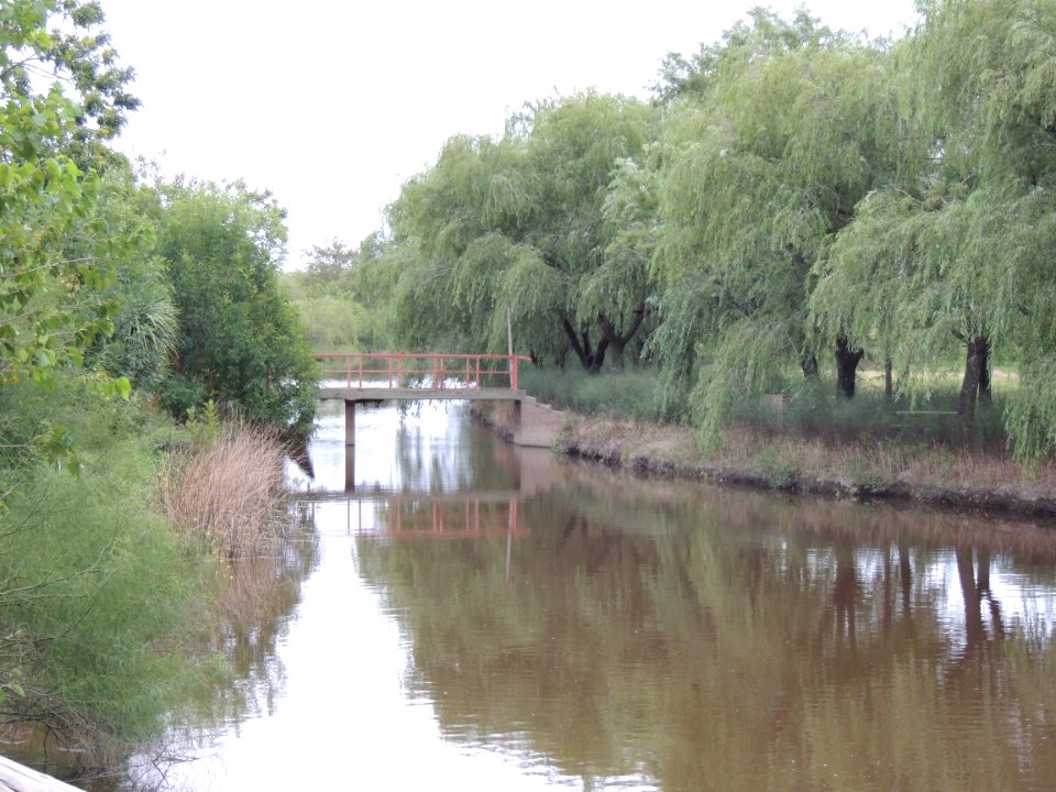 Rio Areco en el balneario de Carmen de Areco 06