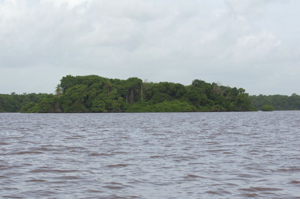 Rio limon venezuela21