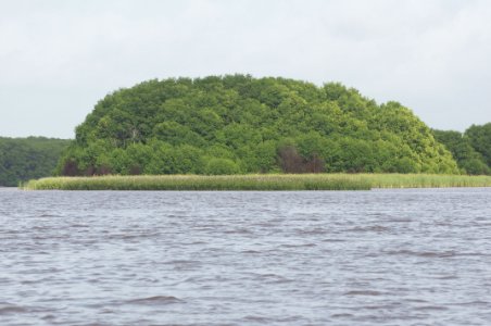 Rio limon venezuela33