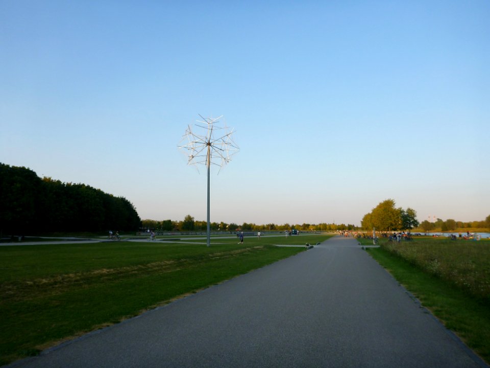 RiemerParkLöwenspinne