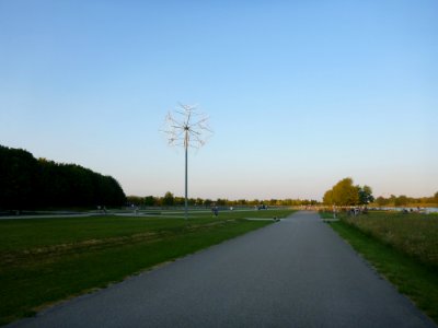 RiemerParkLöwenspinne