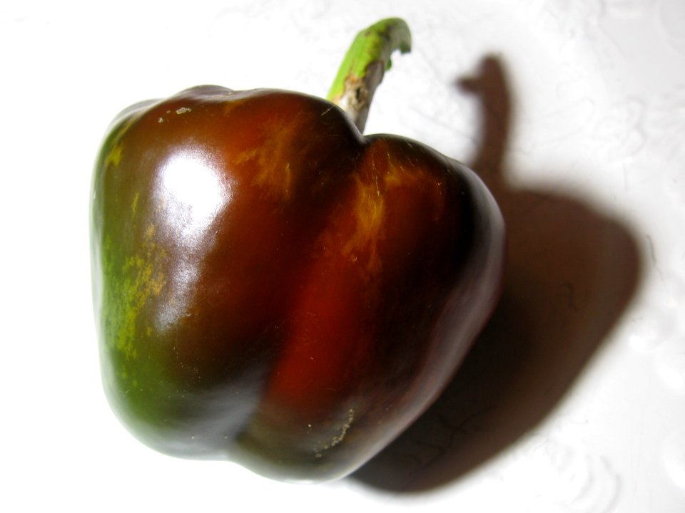 Ripening Pepper, 2020-10-17