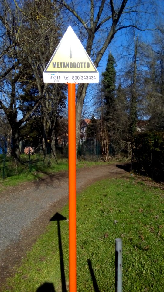 Rivalta(R.Emilia)132