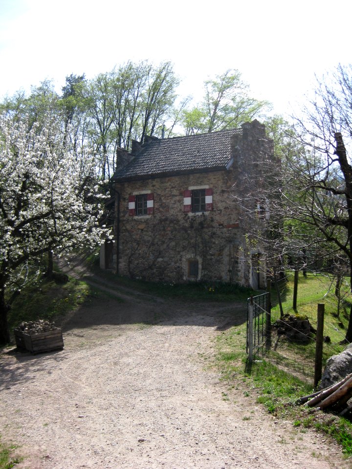 Ries auf Montigl 3