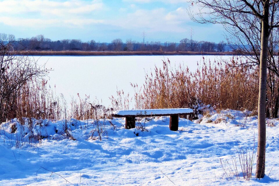 Bank winter impressions wintry