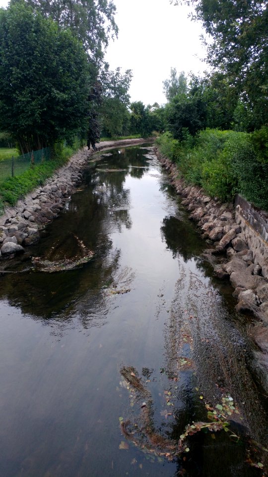 Rißkanal in Rißtissen bei Niedrigwasser