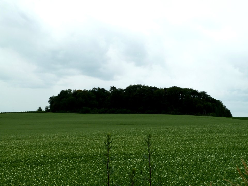 Riemst-Tumulus van Genoelselderen (1)