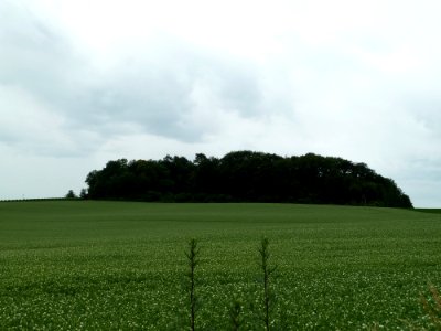 Riemst-Tumulus van Genoelselderen (1)