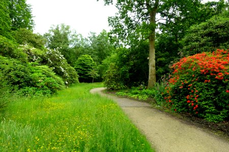 RHS Garden Harlow Carr - North Yorkshire, England - DSC01203