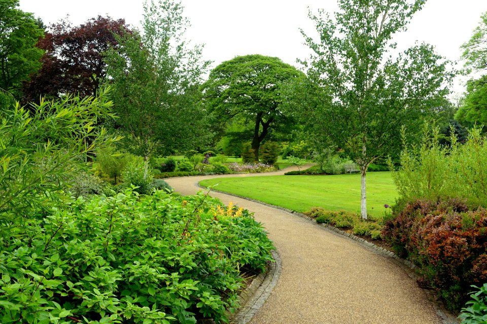 RHS Garden Harlow Carr - North Yorkshire, England - DSC01113