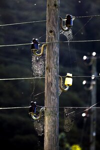 Web strommast power line