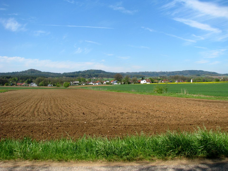 Riebling (Berg NM) (1)