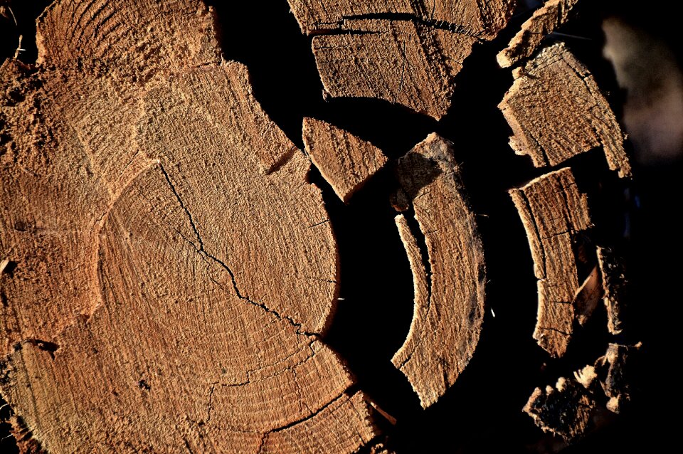 Like fragmented nature