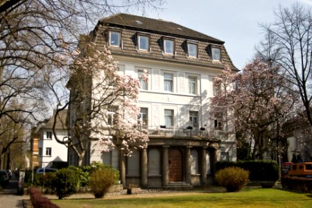 Rheinallee 2 MG 2604