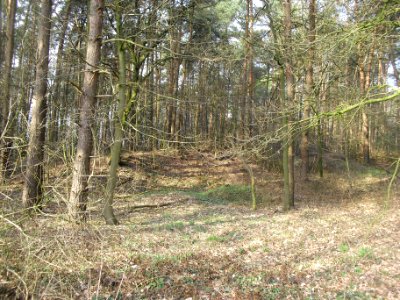 Riege-Rixelbruch-1