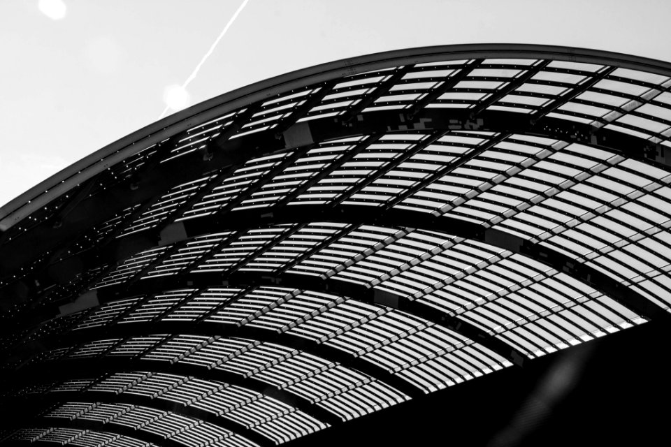 Rhythm (42377186)