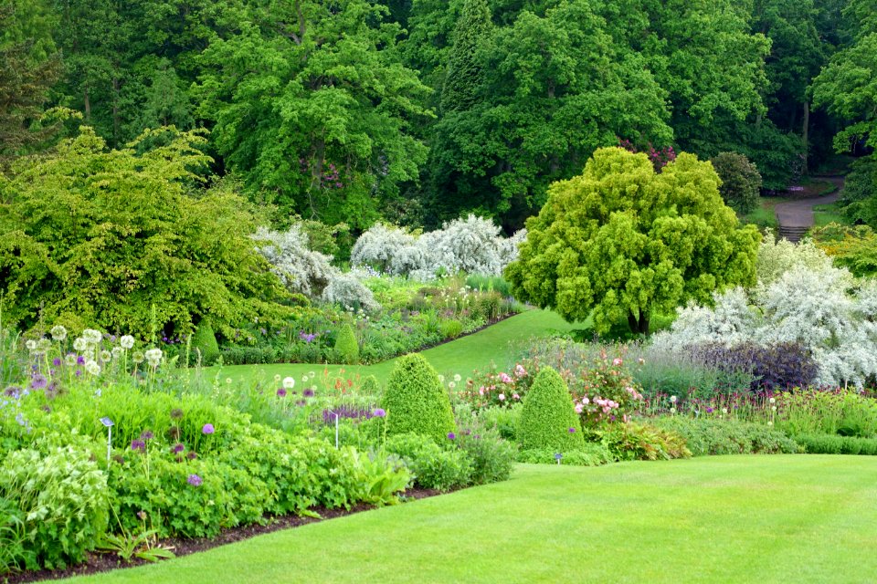 RHS Garden Harlow Carr - North Yorkshire, England - DSC01550