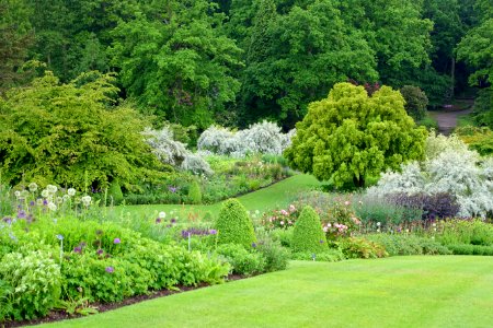 RHS Garden Harlow Carr - North Yorkshire, England - DSC01550