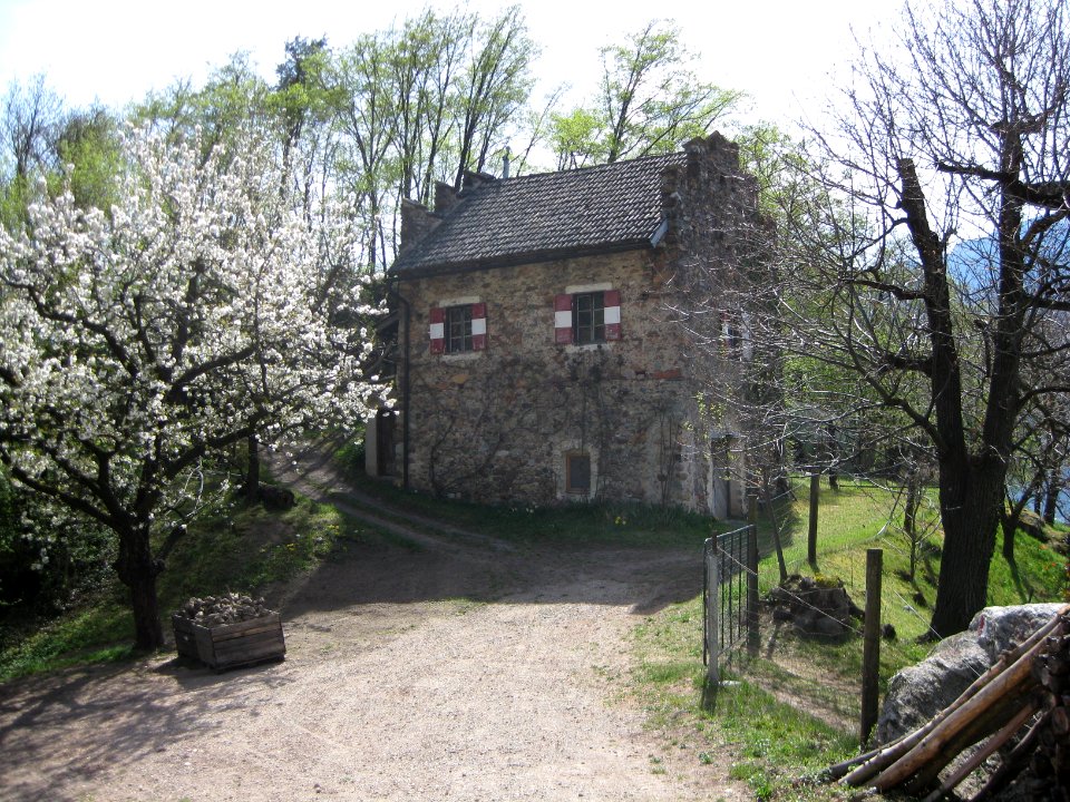 Ries auf Montigl 4