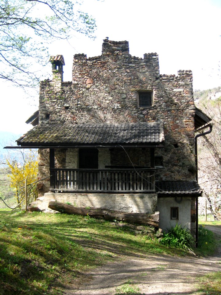 Ries auf Montigl 2