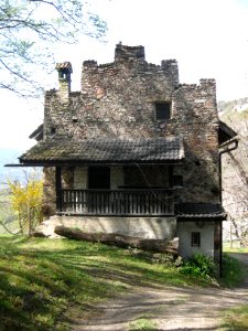 Ries auf Montigl 2