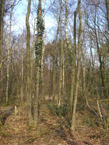 Riege-Rixelbruch-4