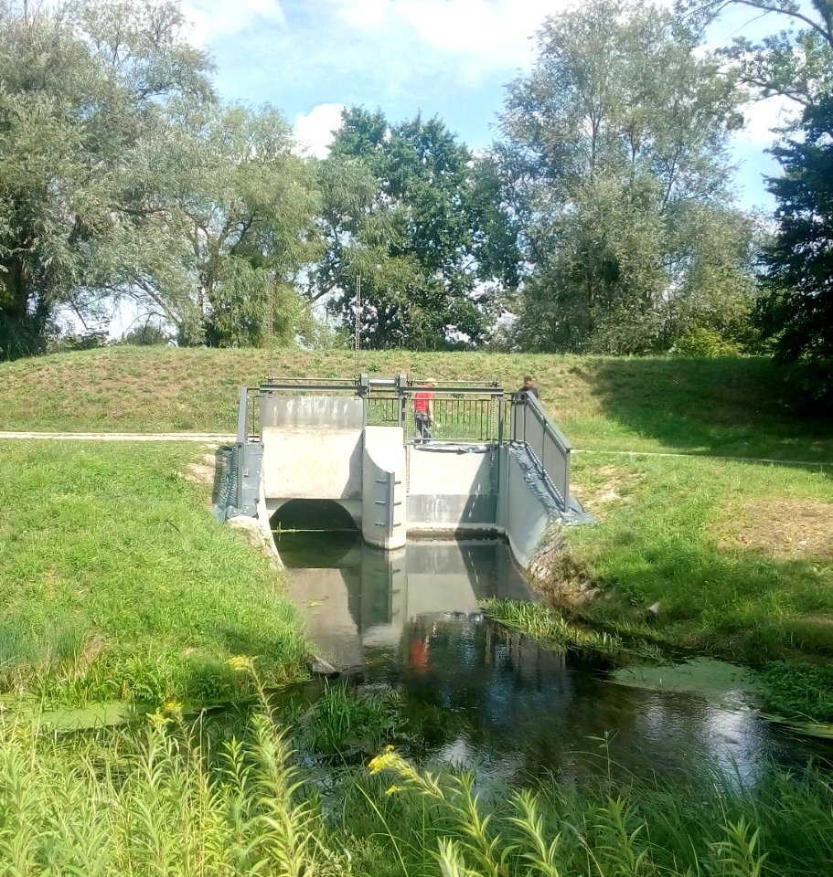 Rheinniederungskanal (AREKO), Einlauf Düker unter Acher (Feldbach)