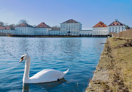 Castle nymphenburg swan