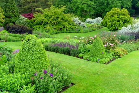 RHS Garden Harlow Carr - North Yorkshire, England - DSC01553