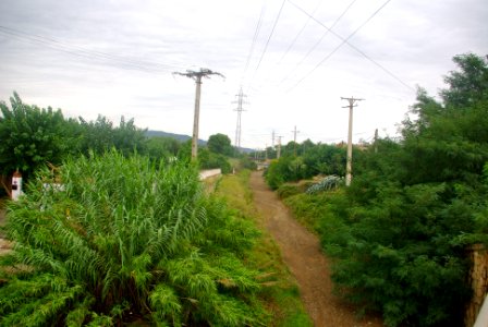 Riera de la Beurada1