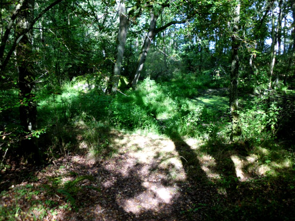 Riesenstein 5