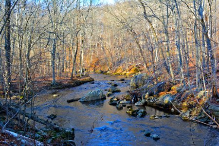 Ridley Creek in SP Tgiving