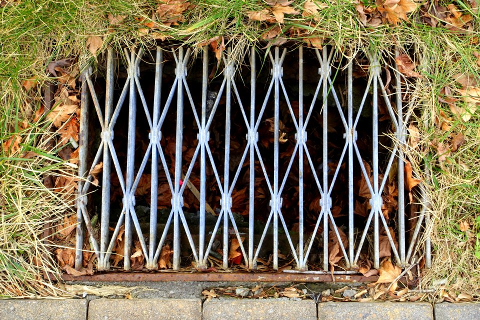 Ribbon grate - Arlington, MA - DSC05706